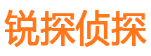 苍梧寻人公司